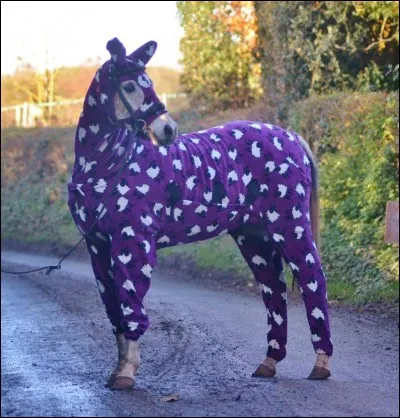 Comment s'appelle le cheval qui vole de Gan For ?