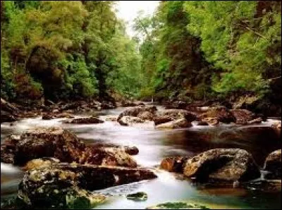 Lorsque tu es près d'une rivière, que fais-tu ?