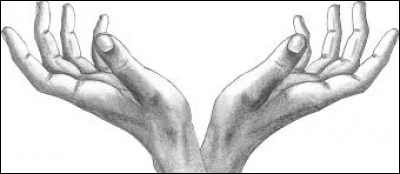 Comment tes ongles sont-ils ?