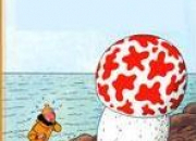 Quiz Les albums de Tintin (2)