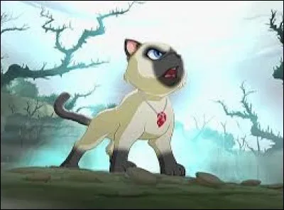 Elle est jolie mais l'apparence ne fait pas tout, savez-vous comment s'appelle la sur d'Amy ?