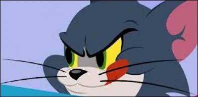 Ce chat est connu de tous, c'est :