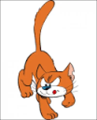 Il est le chat de Gargamel, il déteste les Schtroumpf, le nom de ce chat est étrange mais tout de même spécial.