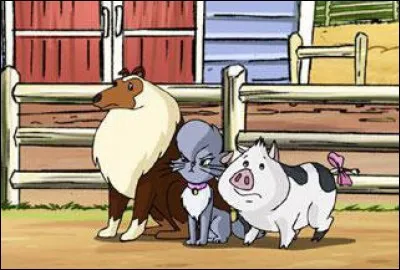 Quel est le nom de la chatte grise d"'Horseland" ?