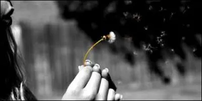 Quel vu Betsy réalise-t-elle avant de tuer Satan ?