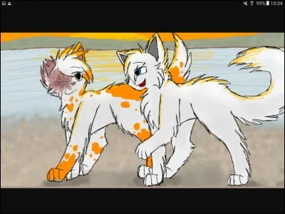 Je suis le compagnon de coeur blanc :