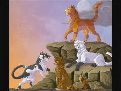 Je suis le chef du clan du tonnerre qui a précédé Etoile du soleil, je suis...