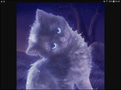 Je suis un chaton blanc et noir qui ne deviendra jamais apprenti. Mon nom est :