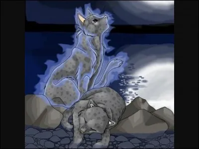 Je suis la soeur de Pelage de granit. Mon nom est :