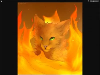 Je suis le plus grand chef du clan du tonnerre. Mon nom est :