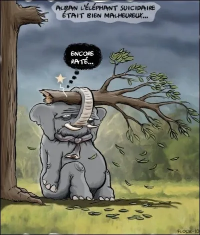 Astuce : si vous avez les dents jaunes ...