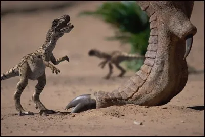 Des b&eacute;b&eacute;s allosaures