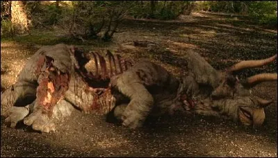 Une vieille carcasse de tric&eacute;ratops