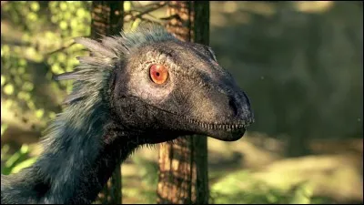 Un jeune troodon dans une for&ecirc;t