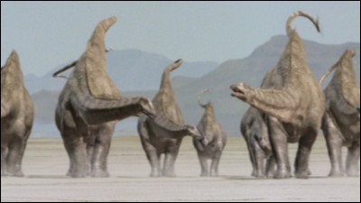 Des diplodocus marchant sur un désert de sel