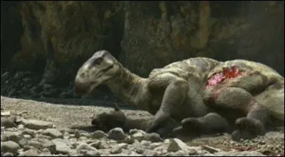 Un iguanodon bless&eacute; &agrave; la patte arri&egrave;re gauche