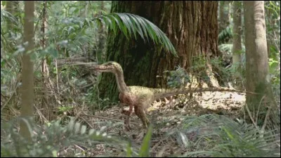 Un v&eacute;lociraptor &agrave; la patte avant gauche bris&eacute;e