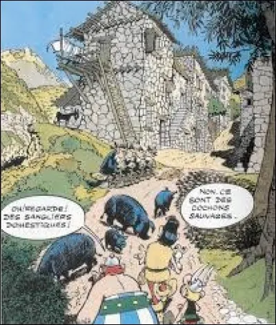 Dans "Astérix en Corse", comment Patologix, le druide du village corse, s'y prend pour cueillir le gui ?