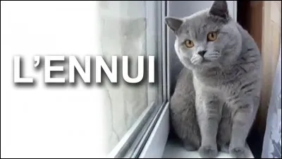 Que fais-tu quand tu t'ennuies ?