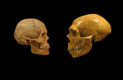 De l'homme de Cro-Magnon ou de l'homme de Néandertal, lequel a précédé l'autre ?