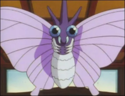 Comment s'appelle ce papillon mauve ?