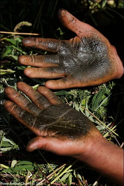 Comment appelle-t-on le haschich originaire d'Asie, extrait à la main ?