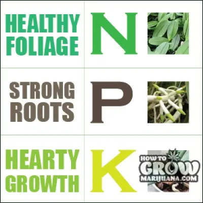 Que signifie N-P-K ?