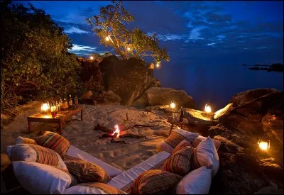 Lieu où un animal sauvage se repose durant la journée !