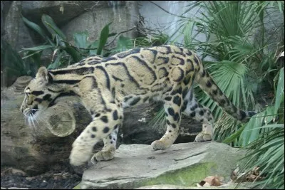 Adjectif mais pas nom, il résiste avec opiniâtreté !