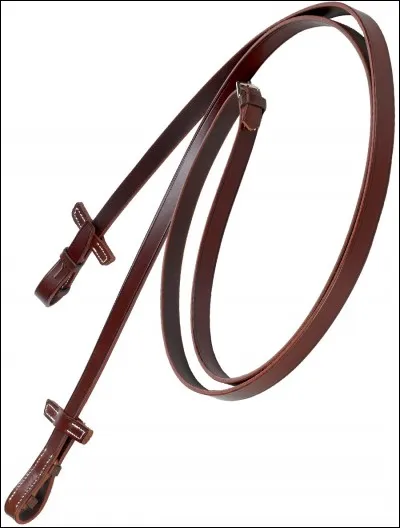 Quelle est cette partie du filet ?