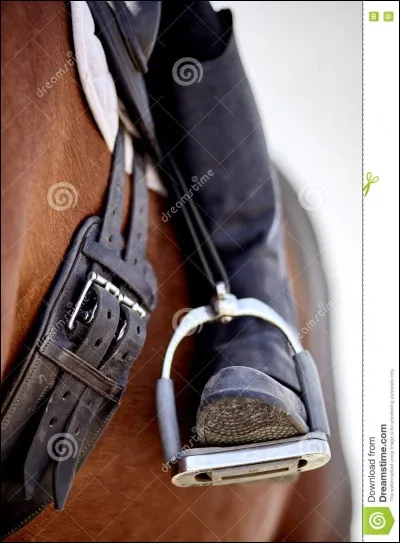 Quelle est cette partie de la selle ?