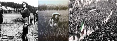 Cette chanson (1908) est une chanson de lutte des « mondines », des femmes travaillant dans les rizières. Elle fut reprise par les Partisans pendant la 2e Guerre mondiale, en 1944.
Quel est cette chanson ?

« Un matin, je me suis réveillé
Et l'envahisseur était là.
Ô ! Partisan emportes-moi »