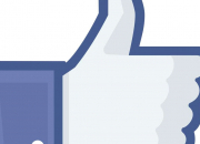 Quiz Es-tu un fidle ''facebooker'' ?