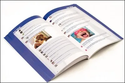 Que veut dire Facebook en français ?