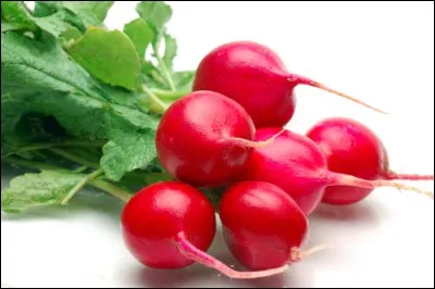 De ces trois pays, lequel est le 2ème producteur mondial de radis, après l'Allemagne et devant les Pays-Bas !