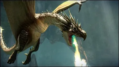 Comment s'appelle le dragon qu'élève Hagrid ?