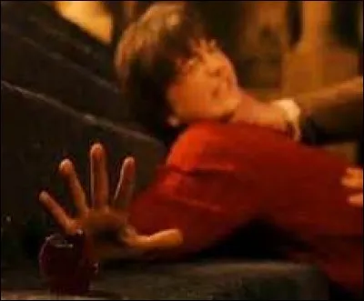 Quel professeur cherche à s'emparer de la pierre philosophale ?