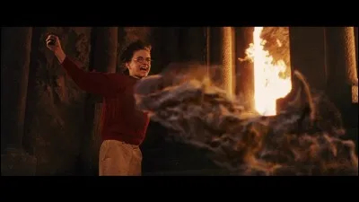 Comment Harry tue-t-il son adversaire ?