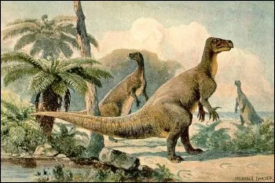 Quels sont les squelettes de deux animaux actuels dont le paléontologue s'inspira pour reconstituer les iguanodons de Bernissart ?