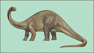 Othniel Charles Marsh se trompait aussi parfois. En 1879, il décrit le brontosaure en mélangeant les os de deux dinosaures :