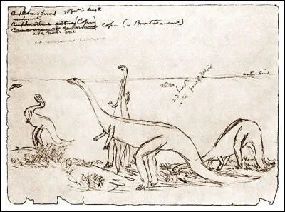Edward Drinker Cope décrit 56 espèces de dinosaures. Travailleur infatigable, il publia le nombre incroyable d'environ...
