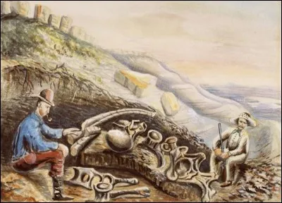Mash et Cope déterraient rarement les fossiles qu'ils étudiaient. Ils faisaient le plus souvent appel à des chasseurs de fossiles et à des paléontologues de terrain. L'un d'entre eux peignait aussi de nombreuses toiles qui montrent ce qu'était la chasse aux fossiles dans l'Ouest américain. Il s'agit de...