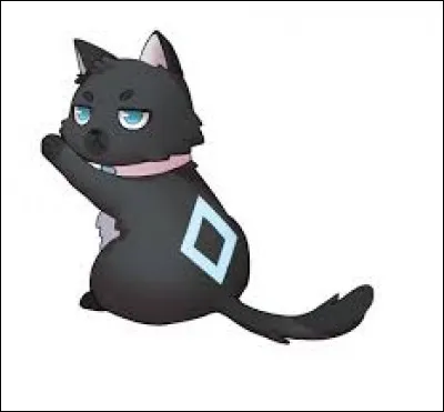 Comment s'appelle le chat d'Alys ?