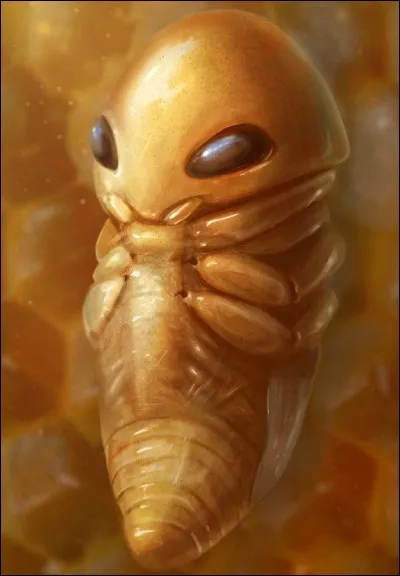 Comment s'appelle ce Pokémon tout jaune ?