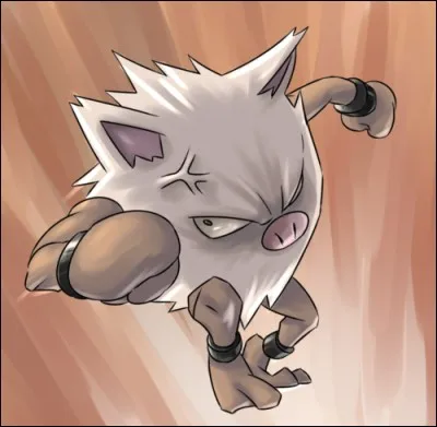 Comment s'appelle ce singe ?