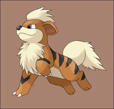 Comment s'appelle ce chien ?