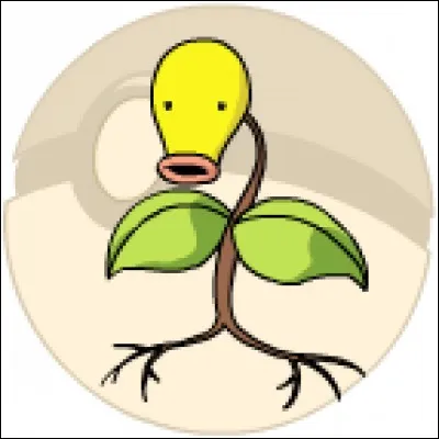 Comment s'appelle cette plante ?