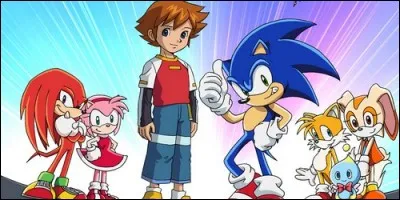 Dans "Sonic X", qui est l'ennemi juré de Sonic ?