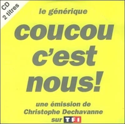 Elle fut Cocogirl avant d'être chroniqueuse pour Christophe Dechavanne au début des 90's. Cette célébrité du paf à la chevelure blonde se nommait :