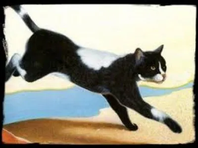 Comment l'aîné des trois chatons de Sacha est-il mort ?